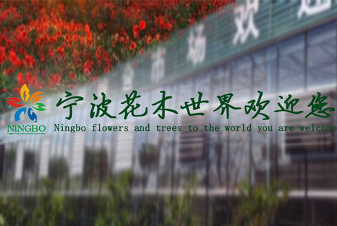 花木世界